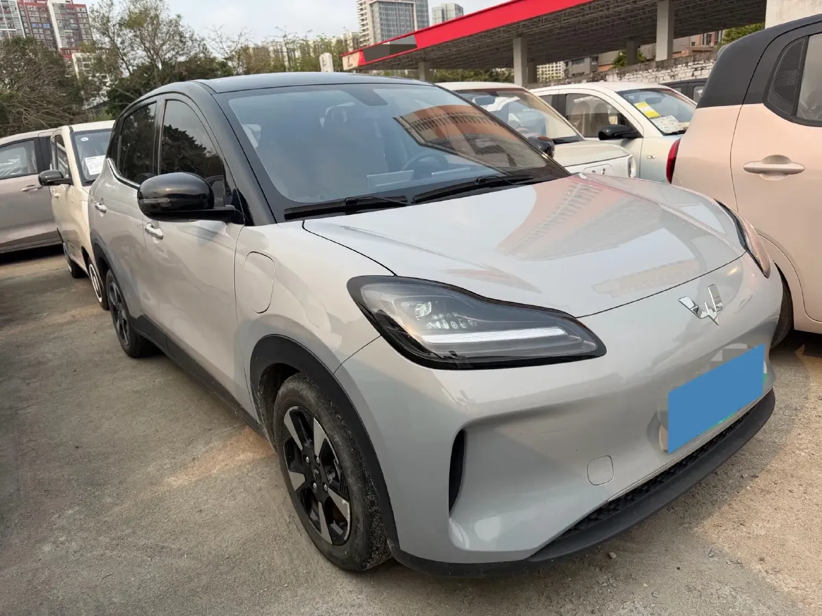 2024 WuLing BinGuoPLUS BEV 50.6KWH,autocango,china used car exporter,china ev exporter,chinese used car exporter,chinese used ev exporter