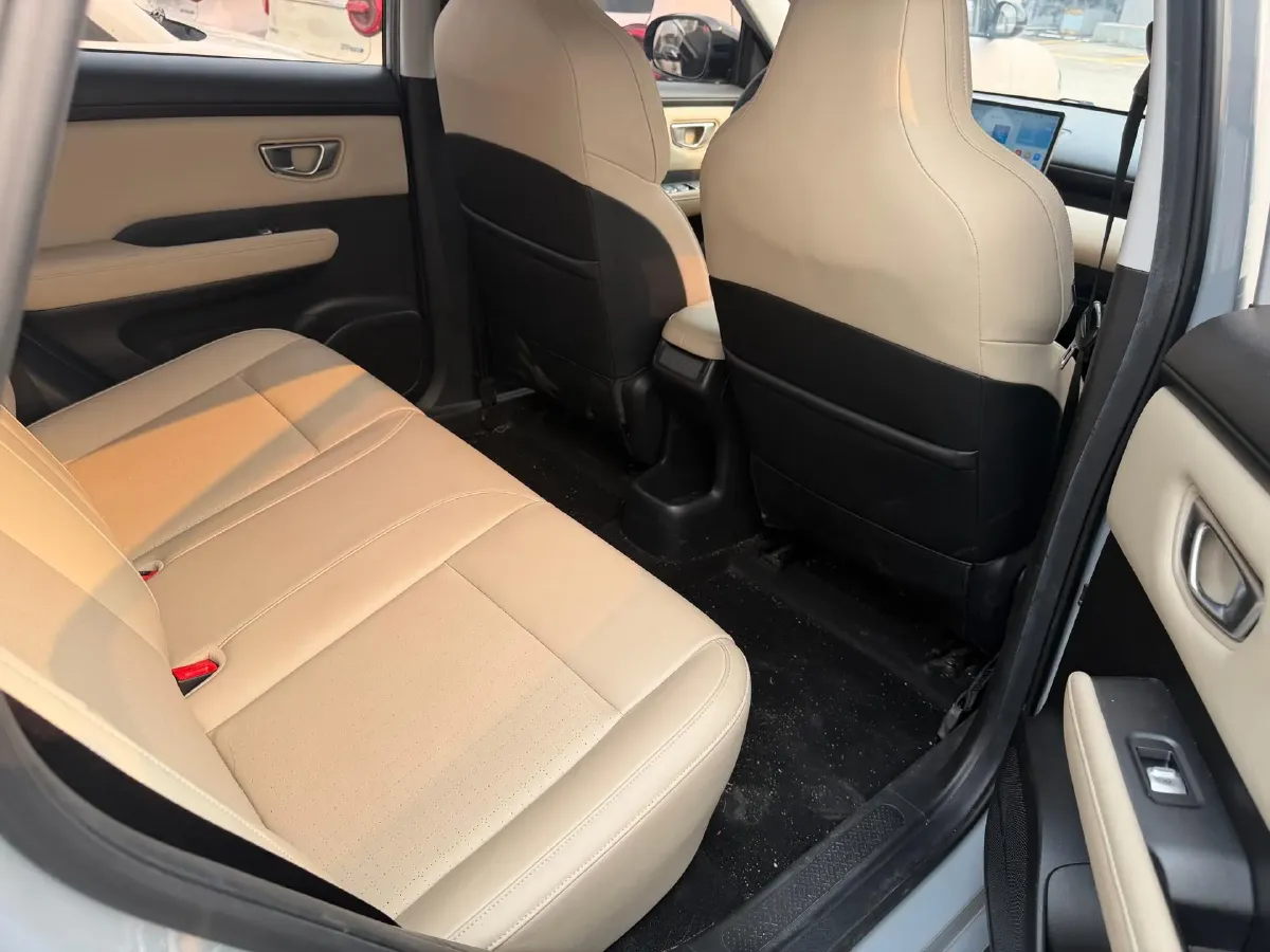 2024 WuLing BinGuoPLUS BEV 50.6KWH,autocango,china used car exporter,china ev exporter,chinese used car exporter,chinese used ev exporter