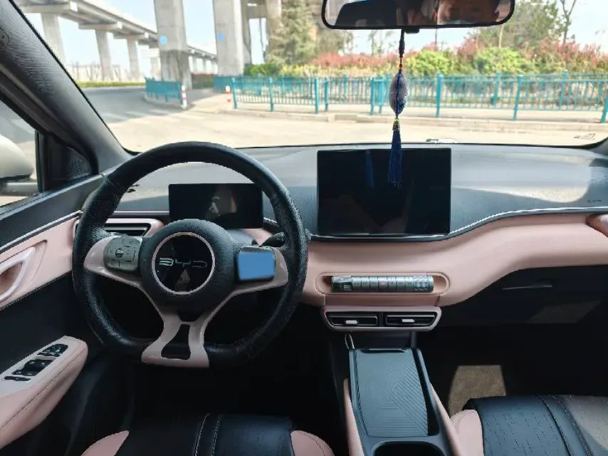 2023 BYD Seagull BEV 30.08KWH,autocango,china used car exporter,china ev exporter,chinese used car exporter,chinese used ev exporter