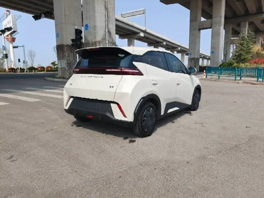 2023 BYD Seagull BEV 30.08KWH,autocango,china used car exporter,china ev exporter,chinese used car exporter,chinese used ev exporter