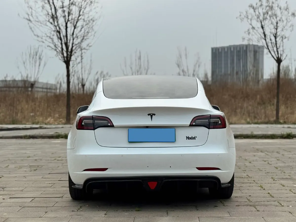 2020 Tesla Model 3 BEV 55KWH,autocango,china used car exporter,china ev exporter,chinese used car exporter,chinese used ev exporter