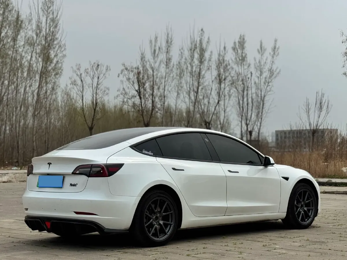 2020 Tesla Model 3 BEV 55KWH,autocango,china used car exporter,china ev exporter,chinese used car exporter,chinese used ev exporter