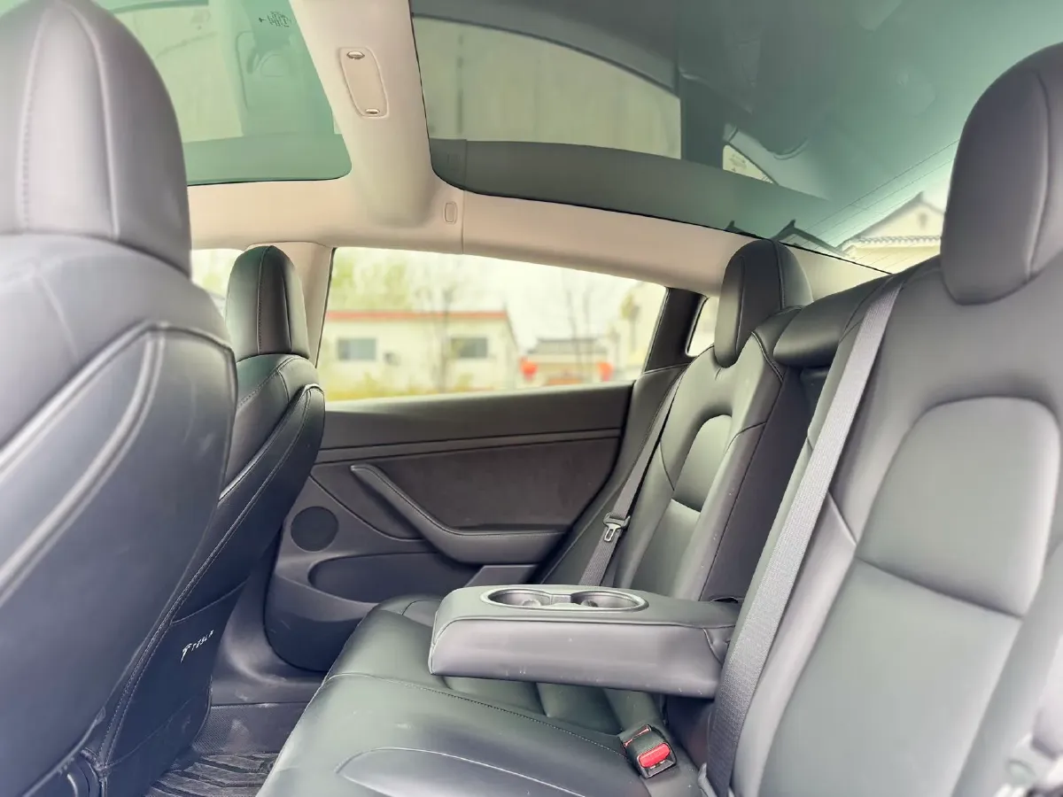 2020 Tesla Model 3 BEV 55KWH,autocango,china used car exporter,china ev exporter,chinese used car exporter,chinese used ev exporter