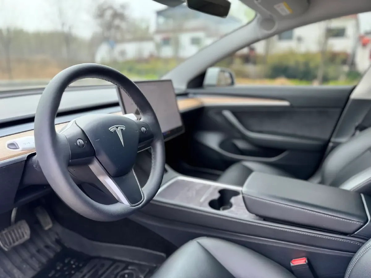 2020 Tesla Model 3 BEV 55KWH,autocango,china used car exporter,china ev exporter,chinese used car exporter,chinese used ev exporter