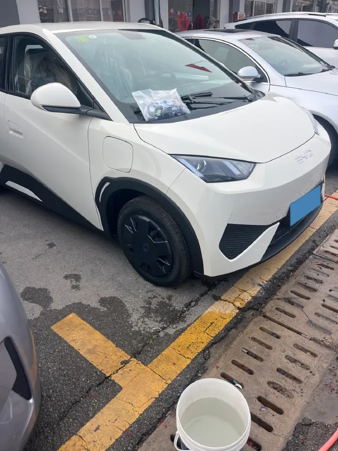 2025 BYD Seagull BEV 30.08KWH,autocango,china used car exporter,china ev exporter,chinese used car exporter,chinese used ev exporter