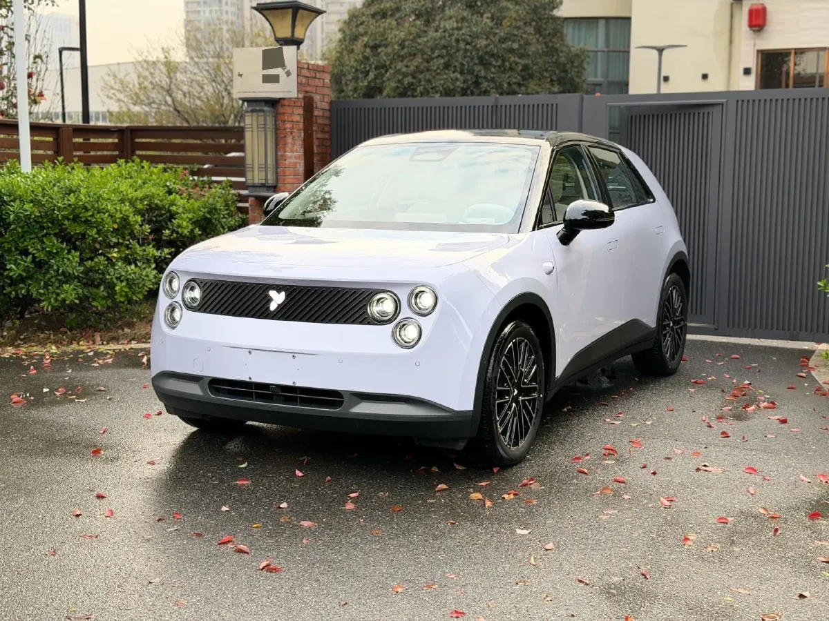 2025 Firefly Firefly BEV,autocango,china used car exporter,china ev exporter,chinese used car exporter,chinese used ev exporter