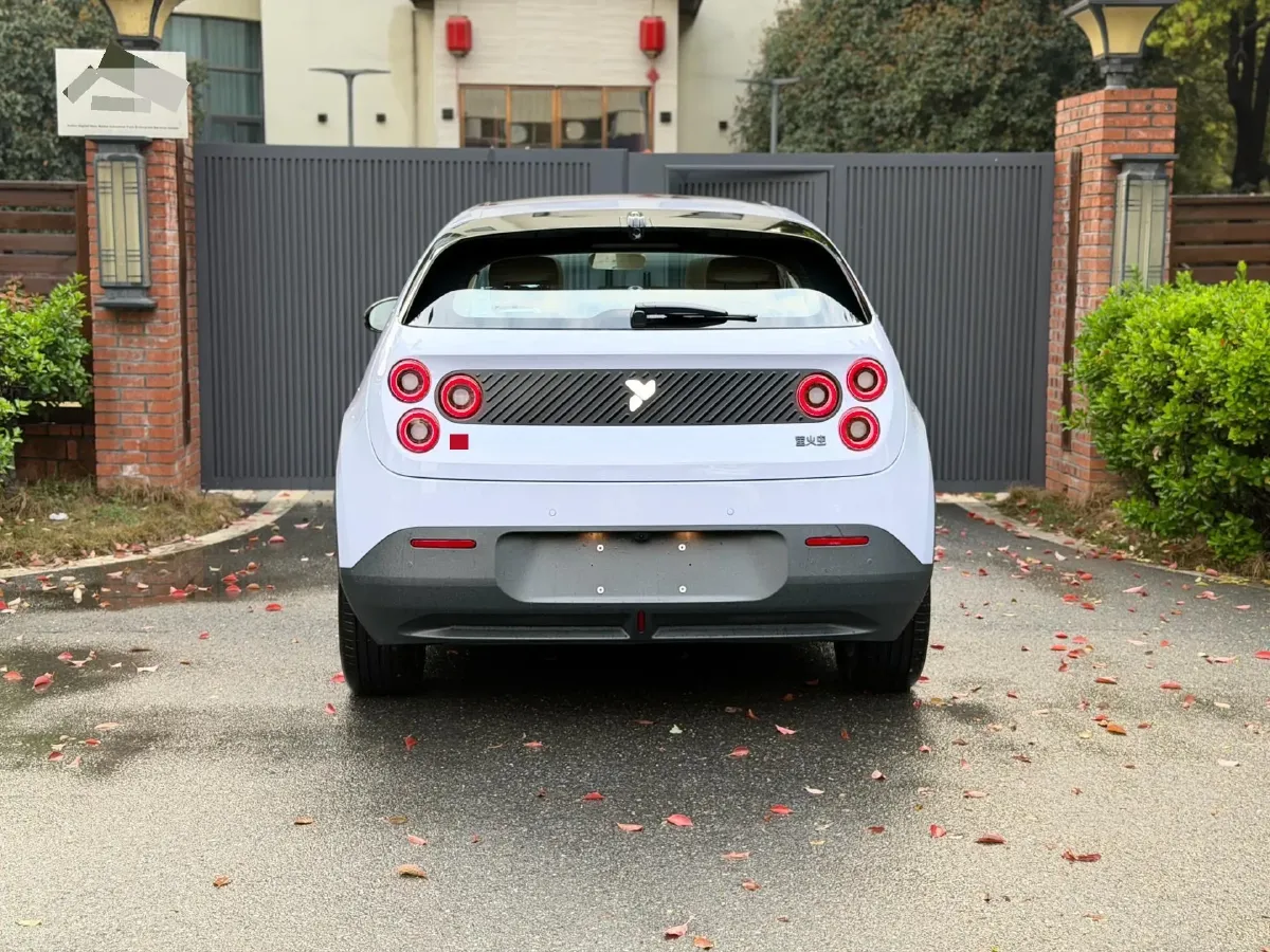 2025 Firefly Firefly BEV,autocango,china used car exporter,china ev exporter,chinese used car exporter,chinese used ev exporter