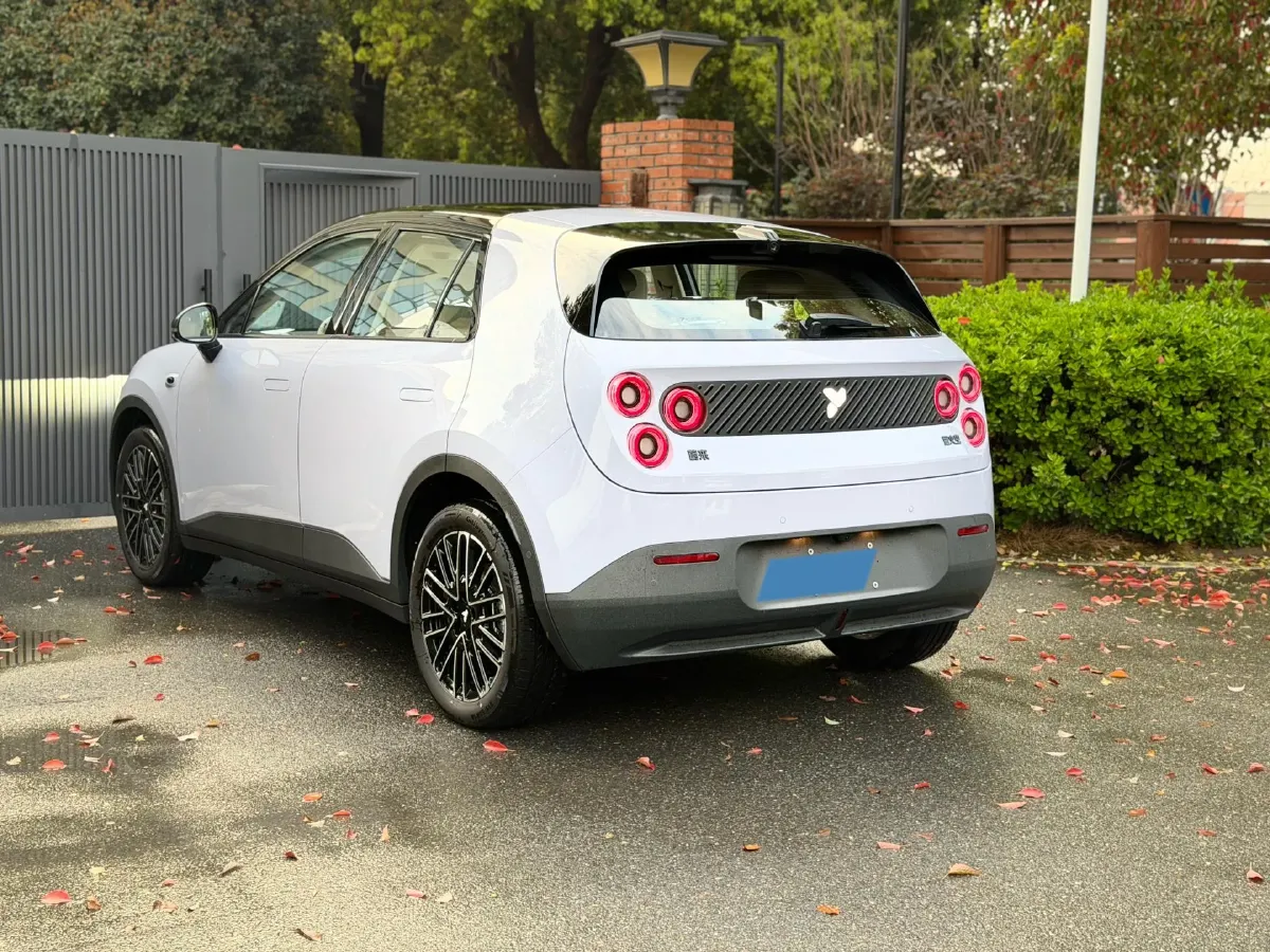 2025 Firefly Firefly BEV,autocango,china used car exporter,china ev exporter,chinese used car exporter,chinese used ev exporter