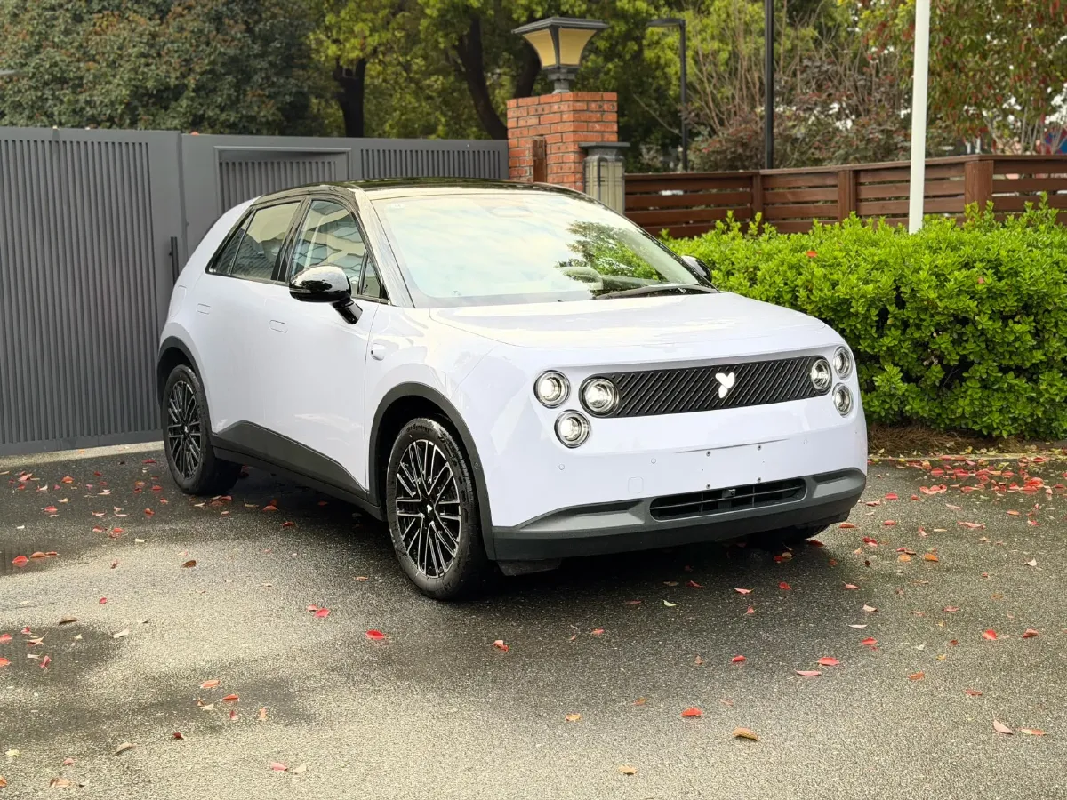 2025 Firefly Firefly BEV,autocango,china used car exporter,china ev exporter,chinese used car exporter,chinese used ev exporter