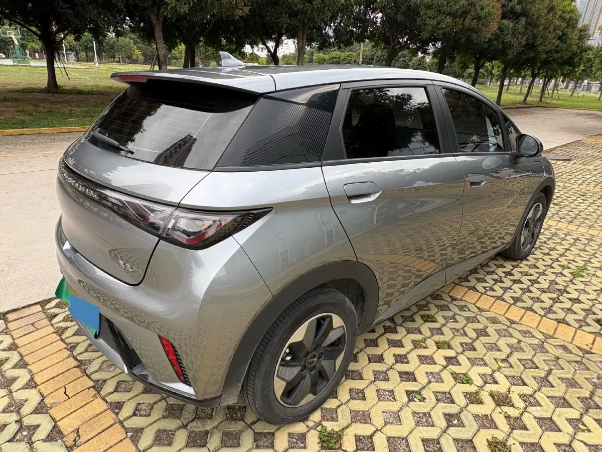 2024 BYD Dolphin BEV 44.928KWH,autocango,china used car exporter,china ev exporter,chinese used car exporter,chinese used ev exporter