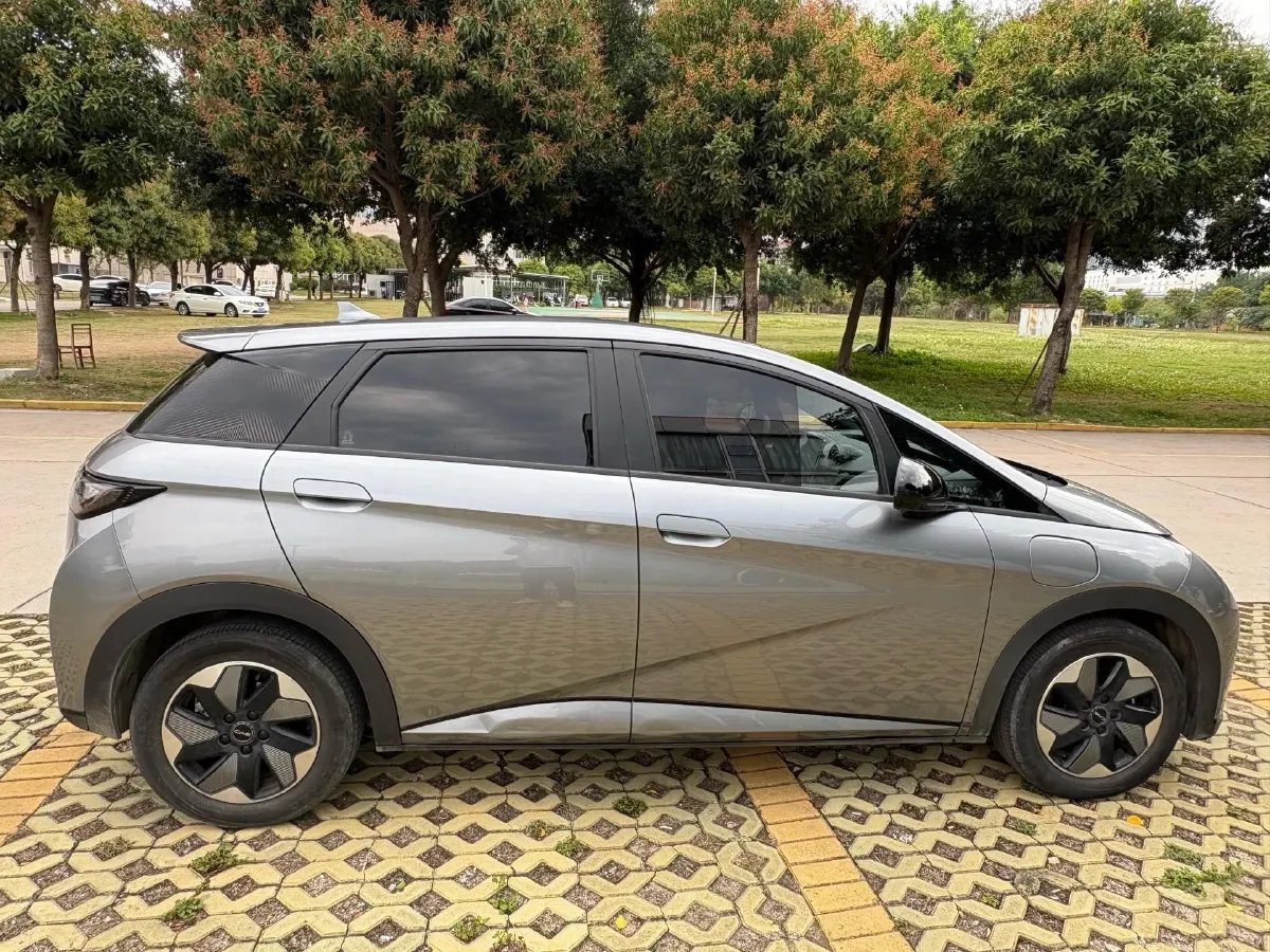 2024 BYD Dolphin BEV 44.928KWH,autocango,china used car exporter,china ev exporter,chinese used car exporter,chinese used ev exporter