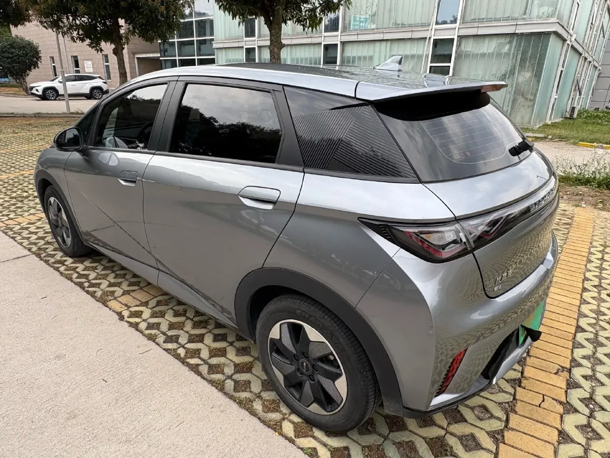 2024 BYD Dolphin BEV 44.928KWH,autocango,china used car exporter,china ev exporter,chinese used car exporter,chinese used ev exporter