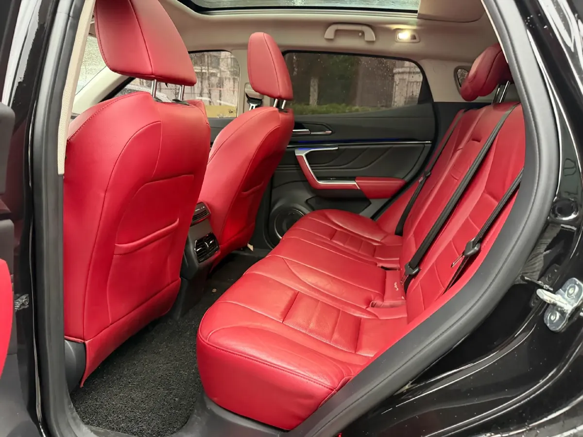 2017 WEY VV7 2.0T 234HP L4 7DCT,autocango,china used car exporter,china ev exporter,chinese used car exporter,chinese used ev exporter