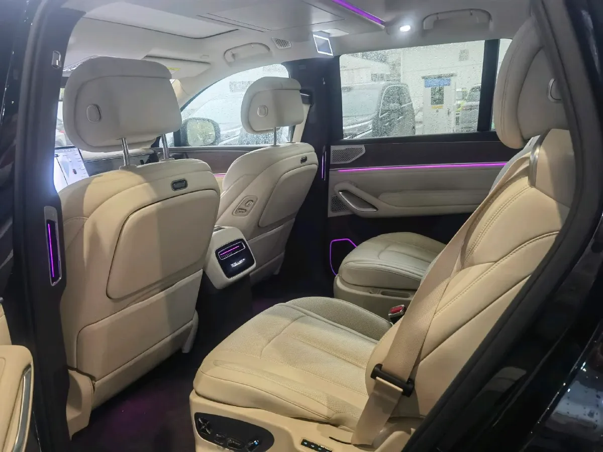 2025 Denza DenzaN9 2.0T 207HP L4 E-CVT PHEV,autocango,china used car exporter,china ev exporter,chinese used car exporter,chinese used ev exporter