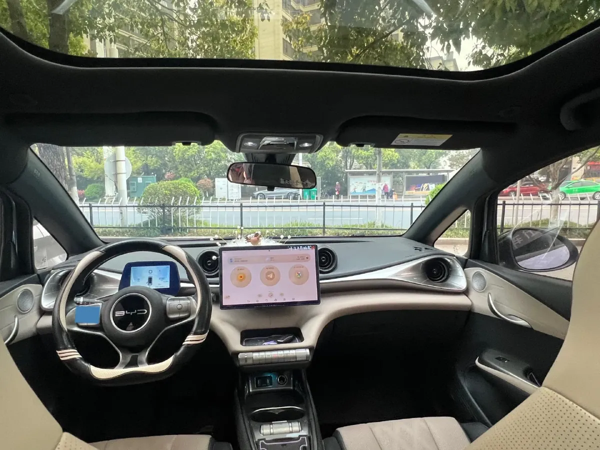 2023 BYD Dolphin BEV 44.928KWH,autocango,china used car exporter,china ev exporter,chinese used car exporter,chinese used ev exporter