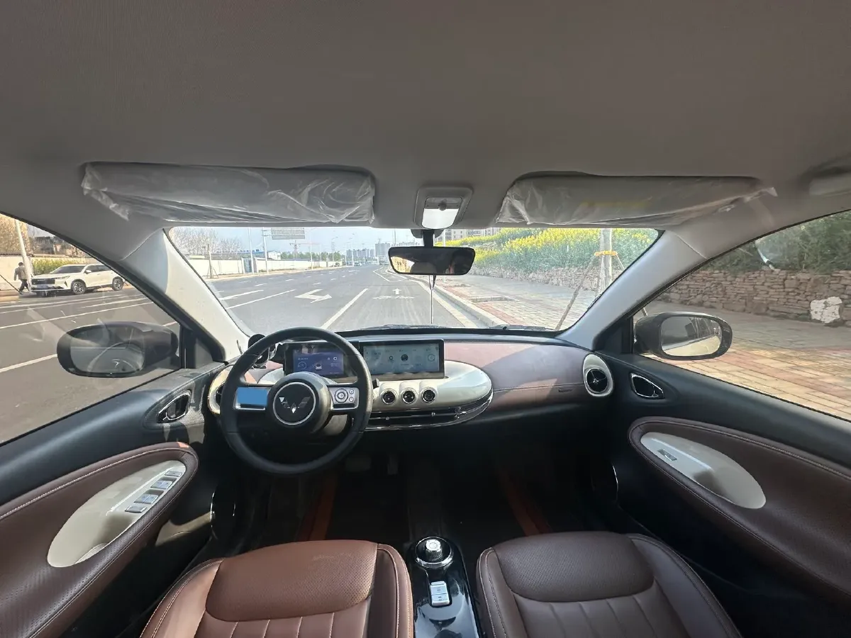 2025 WuLing BinGuo BEV,autocango,china used car exporter,china ev exporter,chinese used car exporter,chinese used ev exporter