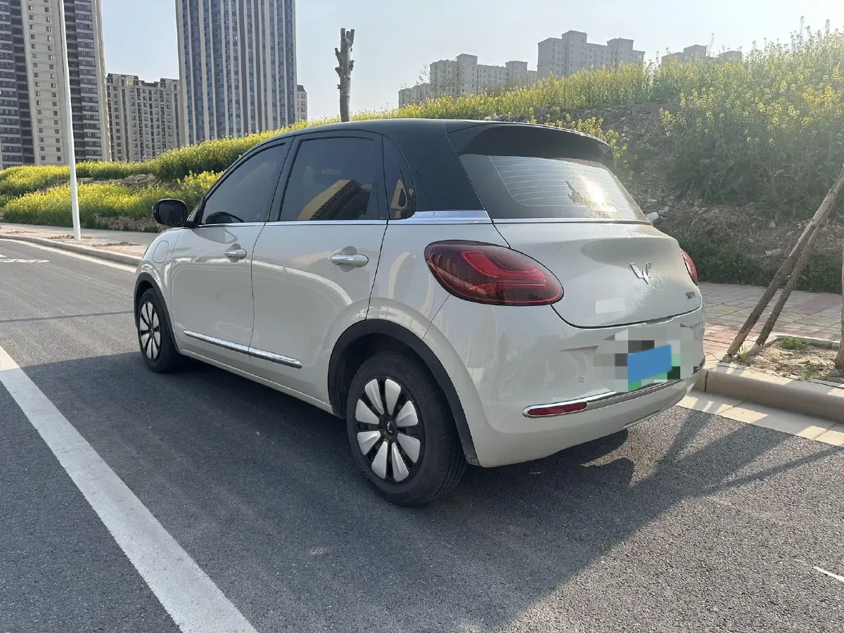 2025 WuLing BinGuo BEV,autocango,china used car exporter,china ev exporter,chinese used car exporter,chinese used ev exporter