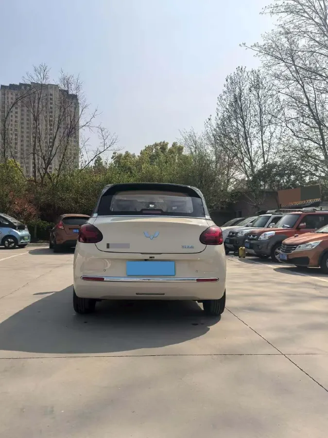 2025 WuLing BinGuo BEV,autocango,china used car exporter,china ev exporter,chinese used car exporter,chinese used ev exporter