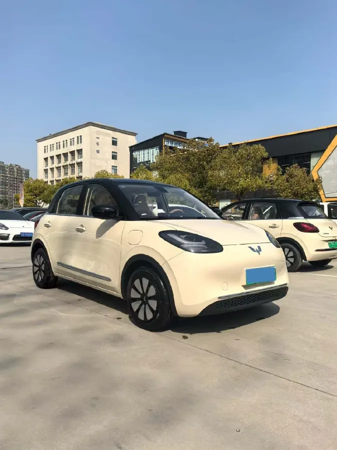 2025 WuLing BinGuo BEV,autocango,china used car exporter,china ev exporter,chinese used car exporter,chinese used ev exporter