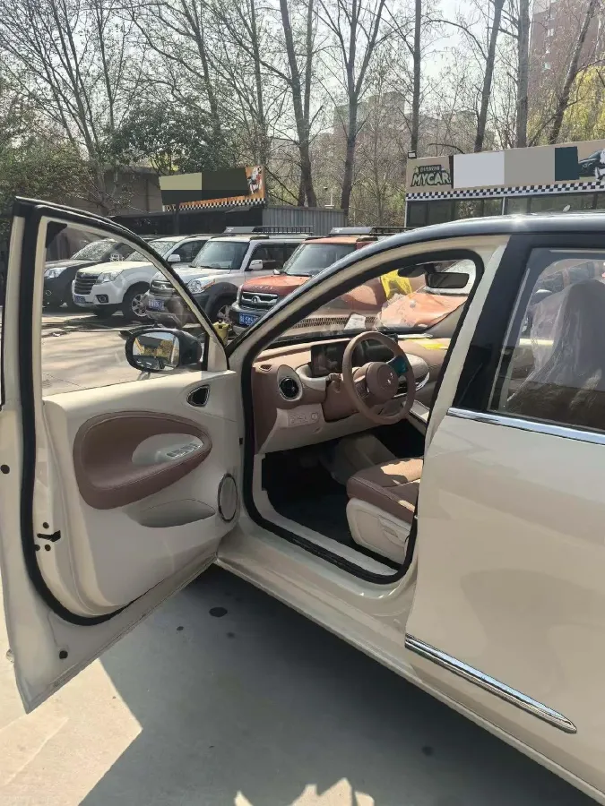 2025 WuLing BinGuo BEV,autocango,china used car exporter,china ev exporter,chinese used car exporter,chinese used ev exporter