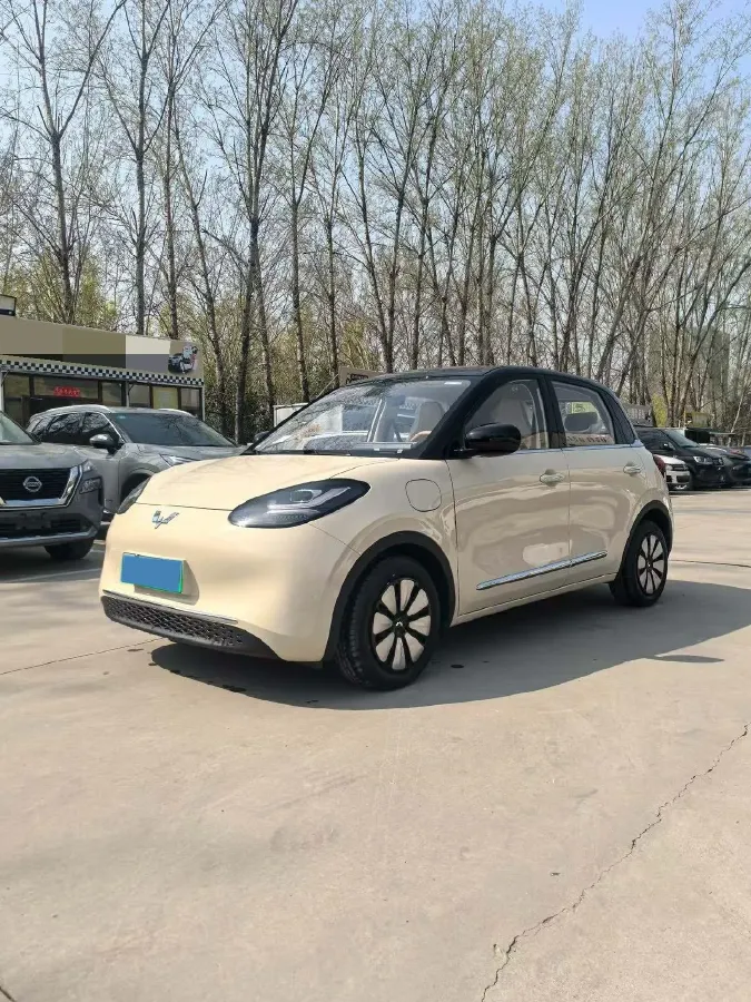 2025 WuLing BinGuo BEV,autocango,china used car exporter,china ev exporter,chinese used car exporter,chinese used ev exporter