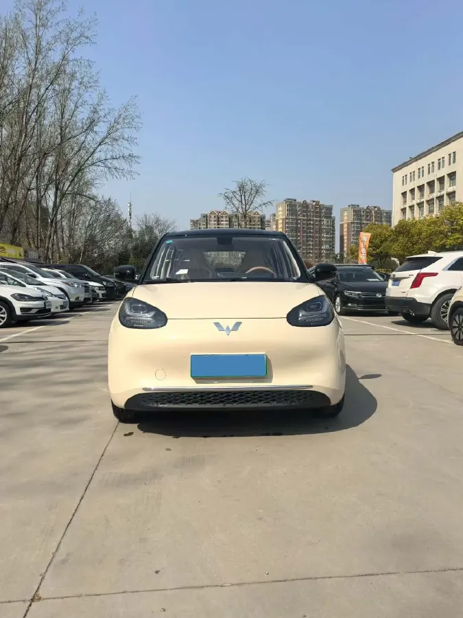 2025 WuLing BinGuo BEV,autocango,china used car exporter,china ev exporter,chinese used car exporter,chinese used ev exporter