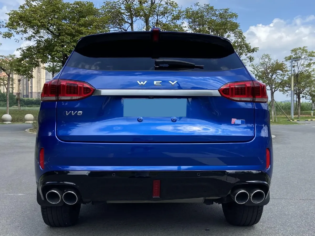 2021 WEY VV6 2.0T 227HP L4 7DCT,autocango,china used car exporter,china ev exporter,chinese used car exporter,chinese used ev exporter