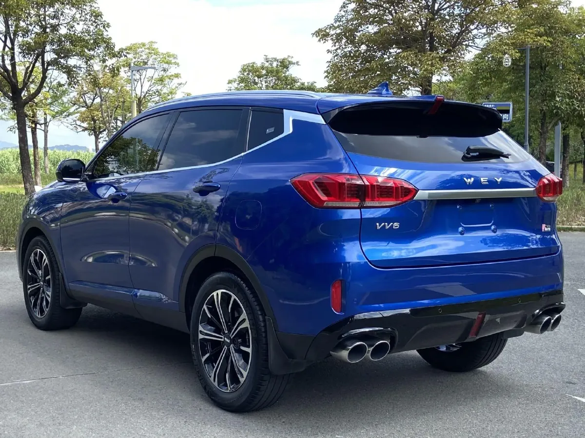 2021 WEY VV6 2.0T 227HP L4 7DCT,autocango,china used car exporter,china ev exporter,chinese used car exporter,chinese used ev exporter