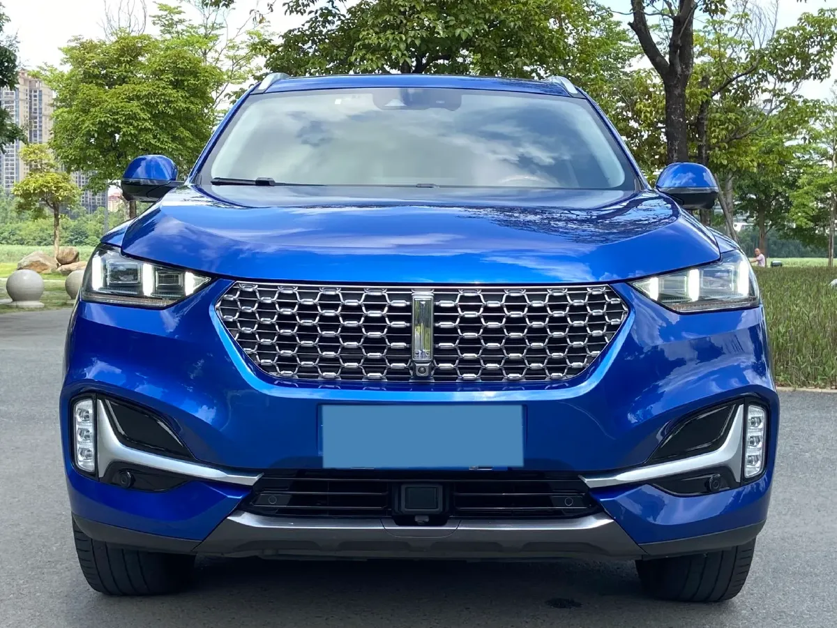 2021 WEY VV6 2.0T 227HP L4 7DCT,autocango,china used car exporter,china ev exporter,chinese used car exporter,chinese used ev exporter