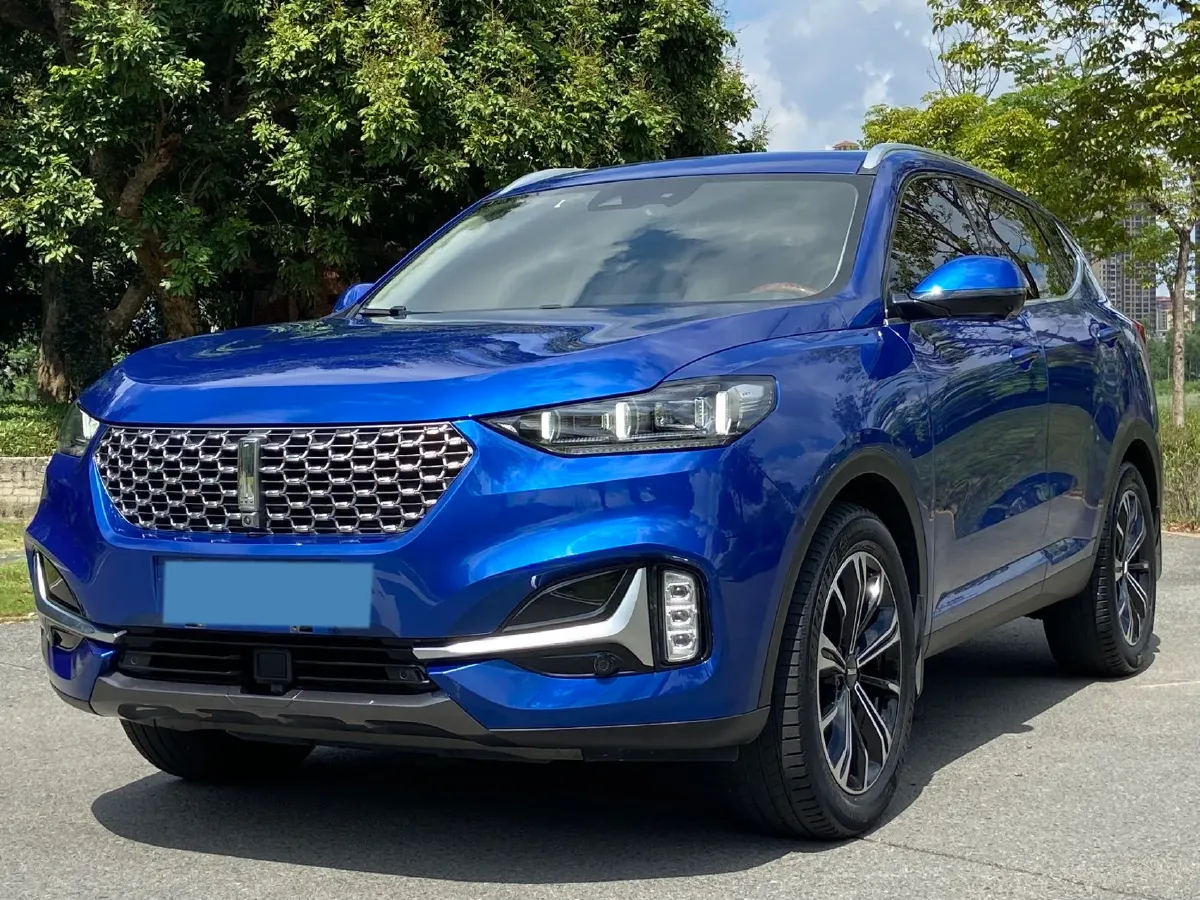 2021 WEY VV6 2.0T 227HP L4 7DCT,autocango,china used car exporter,china ev exporter,chinese used car exporter,chinese used ev exporter