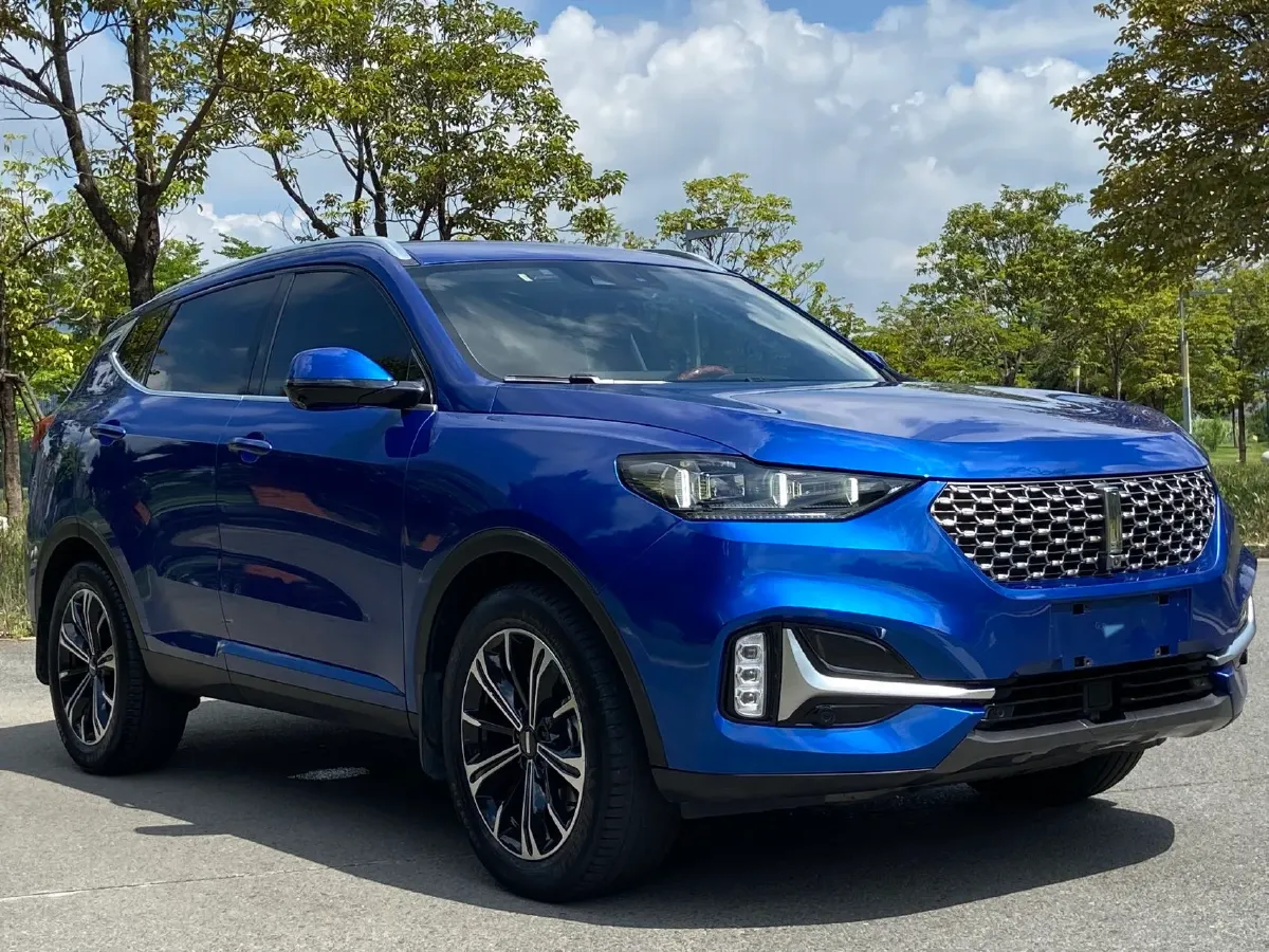 2021 WEY VV6 2.0T 227HP L4 7DCT,autocango,china used car exporter,china ev exporter,chinese used car exporter,chinese used ev exporter