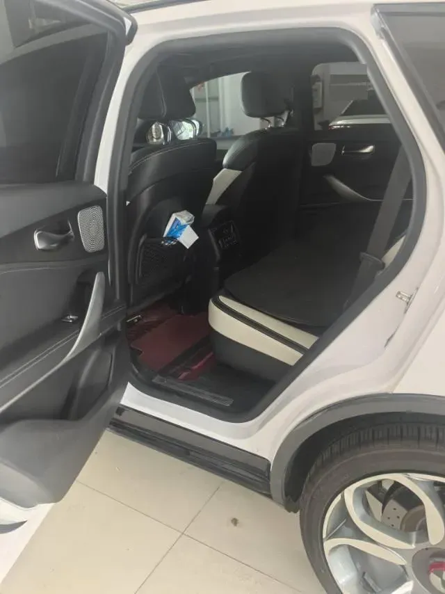 2020 Denza X 2.0T 192HP L4 6DCT PHEV 20KWH,autocango,china used car exporter,china ev exporter,chinese used car exporter,chinese used ev exporter