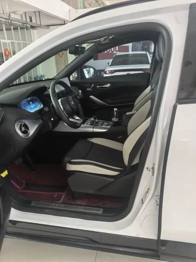 2020 Denza X 2.0T 192HP L4 6DCT PHEV 20KWH,autocango,china used car exporter,china ev exporter,chinese used car exporter,chinese used ev exporter