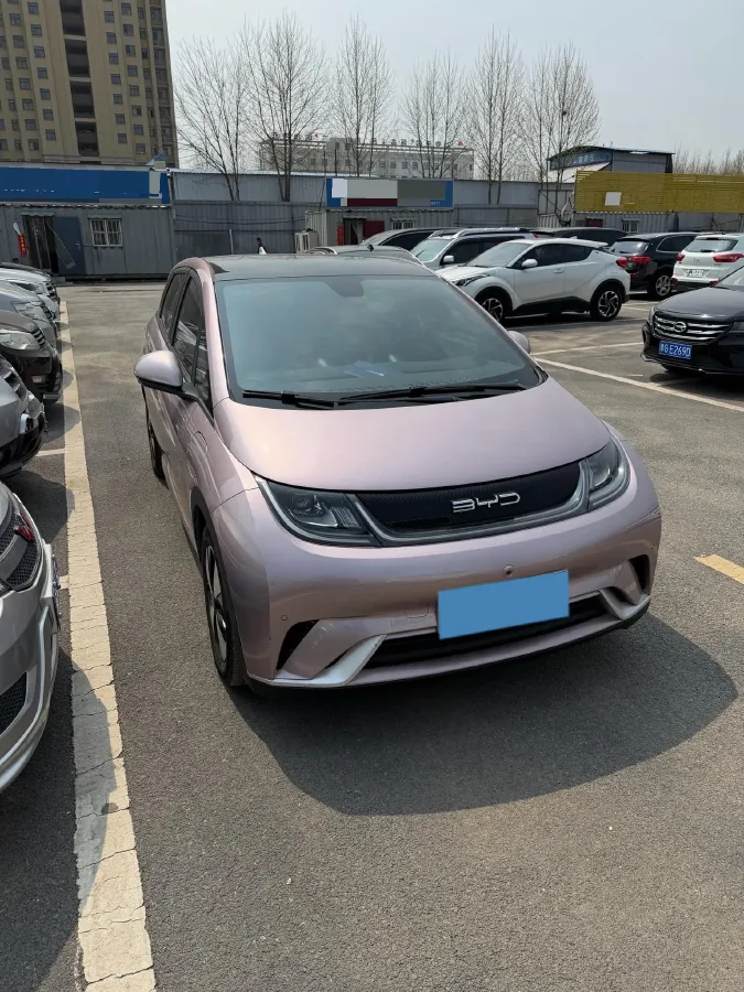 2023 BYD Dolphin BEV 44.928KWH,autocango,china used car exporter,china ev exporter,chinese used car exporter,chinese used ev exporter