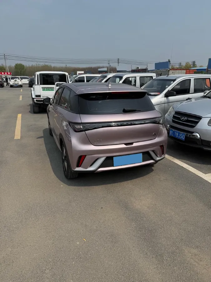 2023 BYD Dolphin BEV 44.928KWH,autocango,china used car exporter,china ev exporter,chinese used car exporter,chinese used ev exporter