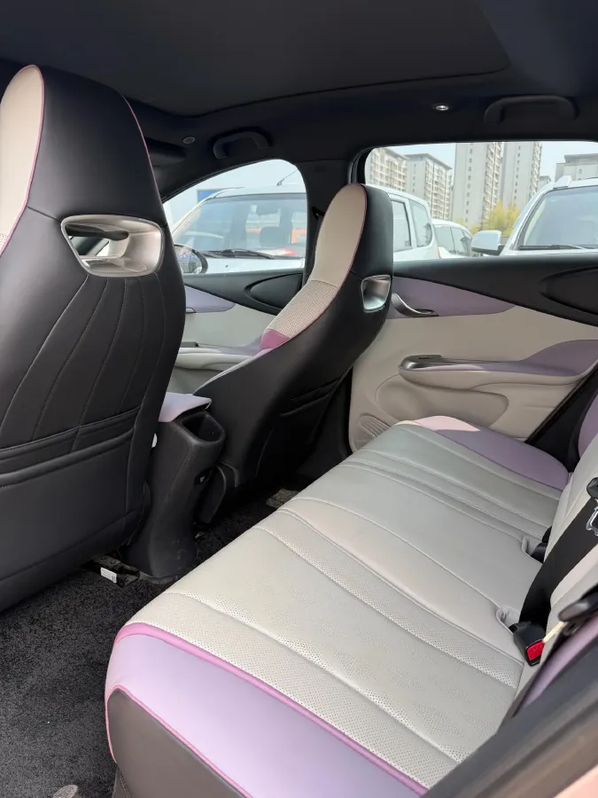 2023 BYD Dolphin BEV 44.928KWH,autocango,china used car exporter,china ev exporter,chinese used car exporter,chinese used ev exporter