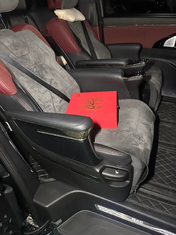 2024 GAC Trumpchi M8 2.0T 252HP L4 8AT,autocango,china used car exporter,china ev exporter,chinese used car exporter,chinese used ev exporter