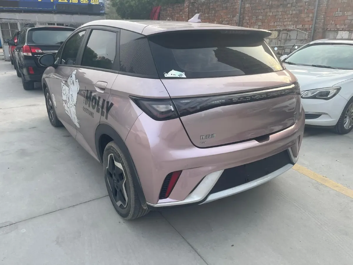 2021 BYD Yuan Pro BEV 50.1KWH,autocango,china used car exporter,china ev exporter,chinese used car exporter,chinese used ev exporter