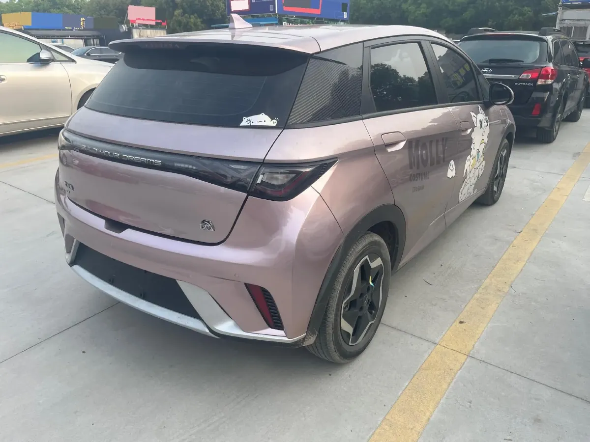 2021 BYD Yuan Pro BEV 50.1KWH,autocango,china used car exporter,china ev exporter,chinese used car exporter,chinese used ev exporter