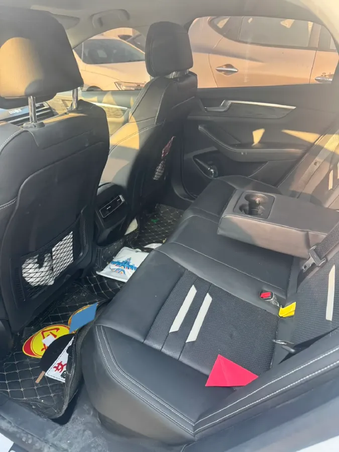 2019 BYD Qin Pro BEV 56.4KWH,autocango,china used car exporter,china ev exporter,chinese used car exporter,chinese used ev exporter