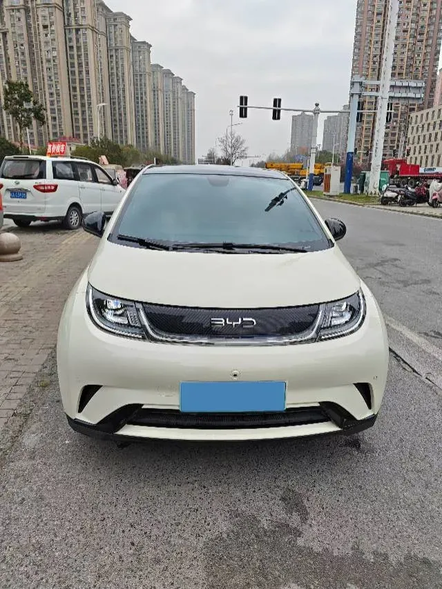 2025 BYD Dolphin BEV 44.928KWH,autocango,china used car exporter,china ev exporter,chinese used car exporter,chinese used ev exporter