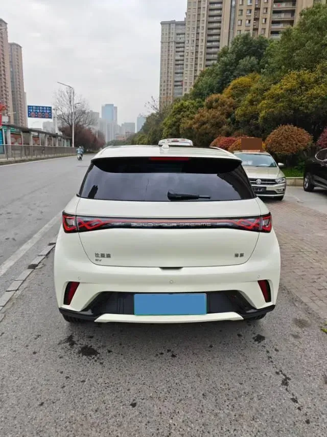 2025 BYD Dolphin BEV 44.928KWH,autocango,china used car exporter,china ev exporter,chinese used car exporter,chinese used ev exporter