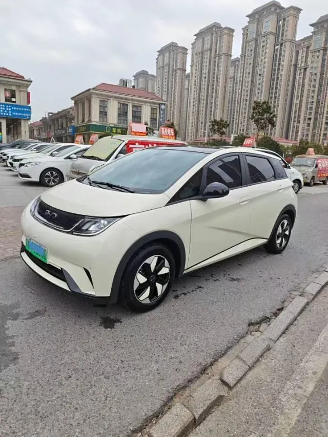 2025 BYD Dolphin BEV 44.928KWH,autocango,china used car exporter,china ev exporter,chinese used car exporter,chinese used ev exporter