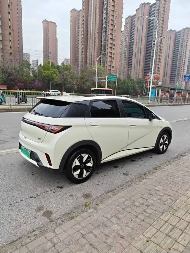 2025 BYD Dolphin BEV 44.928KWH,autocango,china used car exporter,china ev exporter,chinese used car exporter,chinese used ev exporter