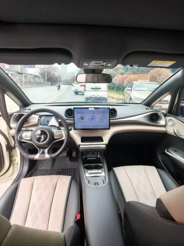 2025 BYD Dolphin BEV 44.928KWH,autocango,china used car exporter,china ev exporter,chinese used car exporter,chinese used ev exporter