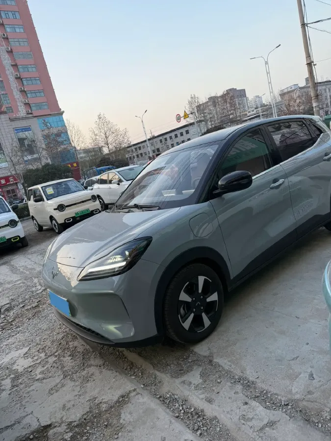 2024 WuLing BinGuoPLUS BEV 50.6KWH,autocango,china used car exporter,china ev exporter,chinese used car exporter,chinese used ev exporter