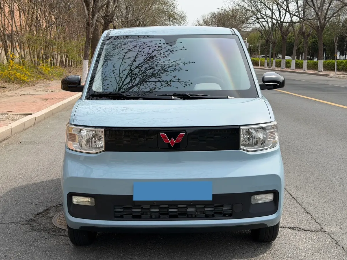 2020 WuLing HongGuang MINI EV BEV 9KWH,autocango,china used car exporter,china ev exporter,chinese used car exporter,chinese used ev exporter