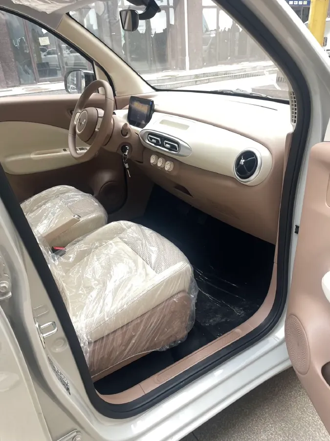 2025 WuLing HongGuang MINI EV BEV 16.2KWH,autocango,china used car exporter,china ev exporter,chinese used car exporter,chinese used ev exporter