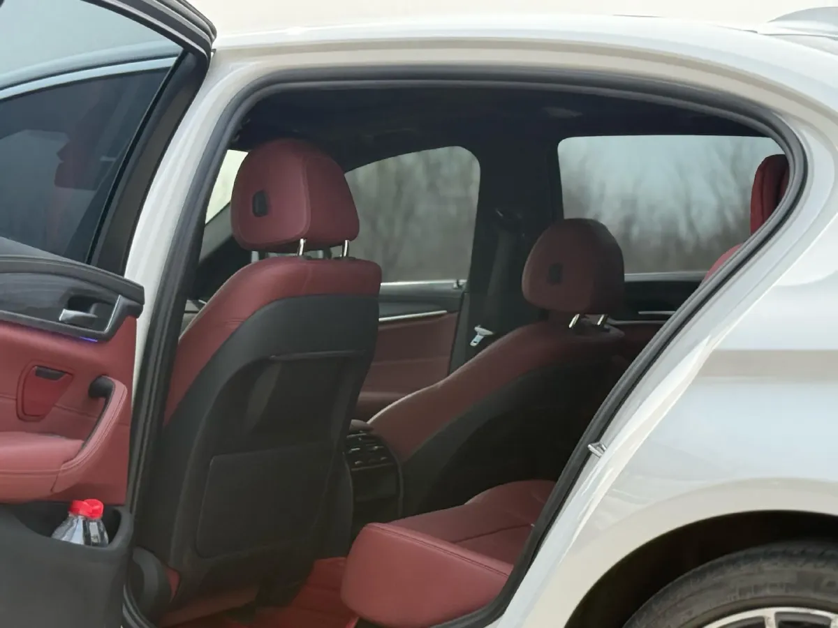 2021 BMW 5 Series 2.0T 252HP L4 8AT,autocango,china used car exporter,china ev exporter,chinese used car exporter,chinese used ev exporter