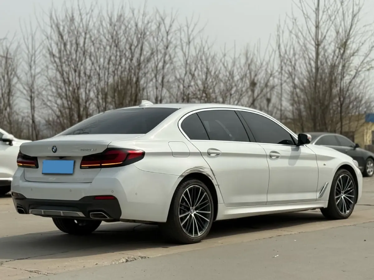 2021 BMW 5 Series 2.0T 252HP L4 8AT,autocango,china used car exporter,china ev exporter,chinese used car exporter,chinese used ev exporter